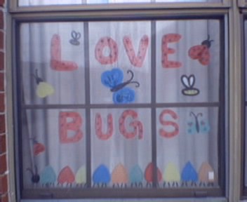 Window Chalk Love Bugs